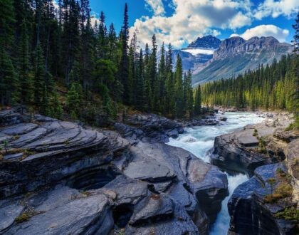 International Removals To Canada from the uk