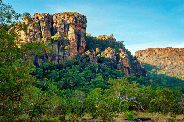 a rocky cliff with trees in the background with Kakadu National Park in the background - Kakadu National Park