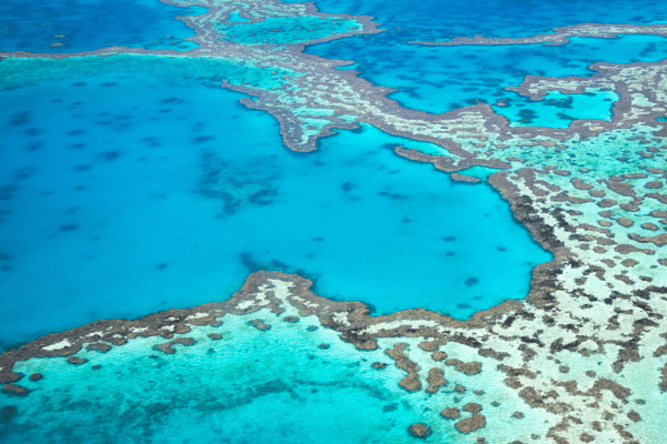 an aerial view of a The Great Barrier Reef