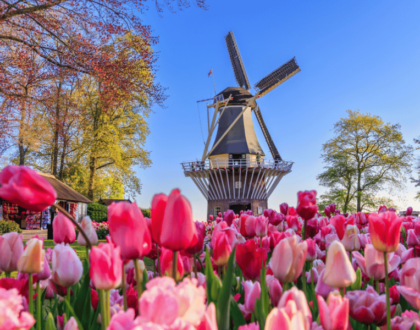 International Removals to Netherlands from the UK